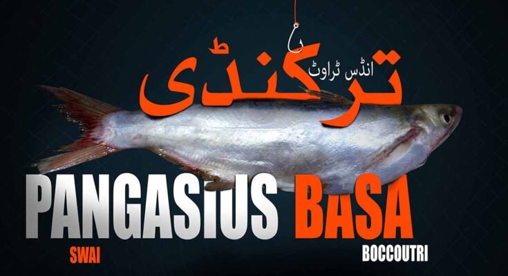 Basa Fish Healthy or not Nutrition health risk