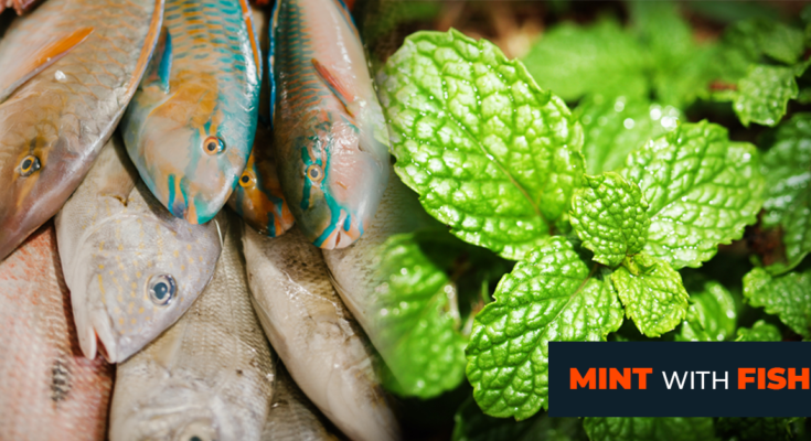 The benefits of mint with the fish recipes