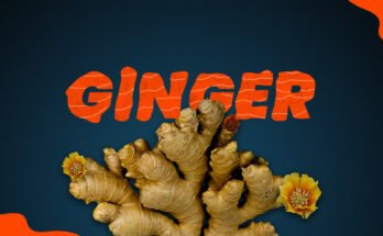 Ginger and Fish recipes, Ginger benefits, use in food Mahigar