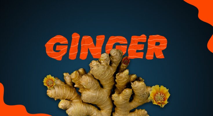Ginger and Fish recipes, Ginger benefits, use in food Mahigar