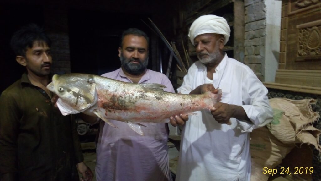 Mahi Gar Team Members Big Fish Catch