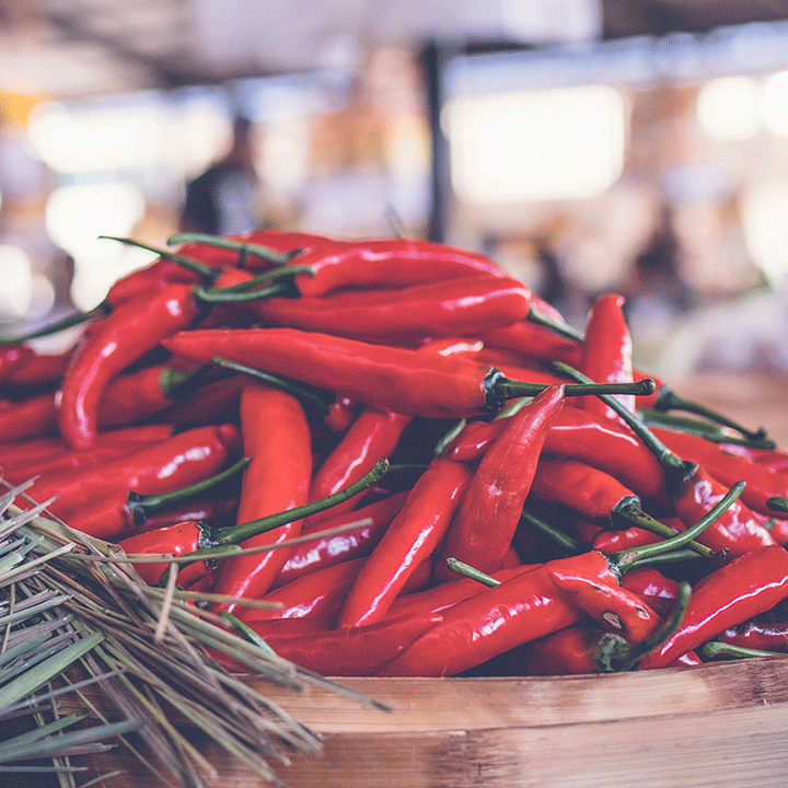 red Chili Pepper