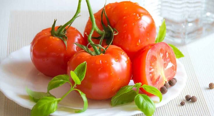 eating tomatoes