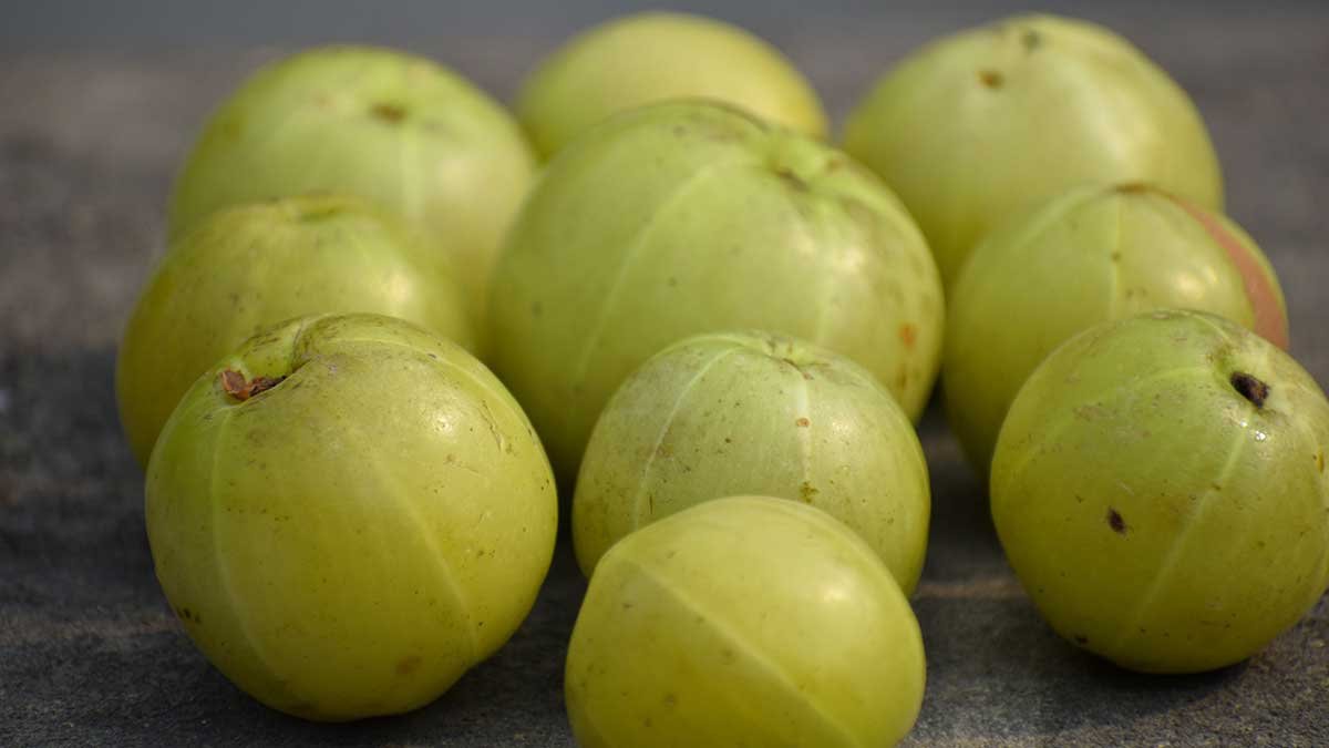 5 amazing benefits of washing hair with gooseberry water