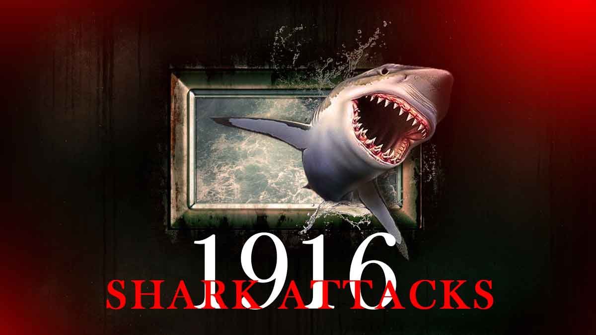 did you know what was The 1916 Shark Attacks?
