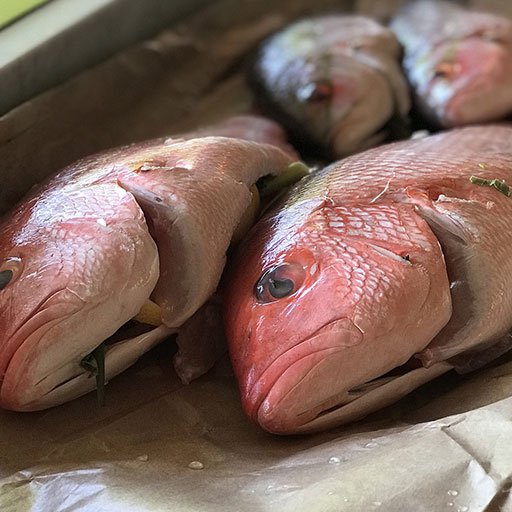 Buying Authentic Red Snapper