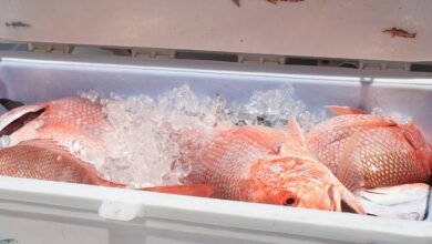 How to Identify and Buy Authentic Red Snapper