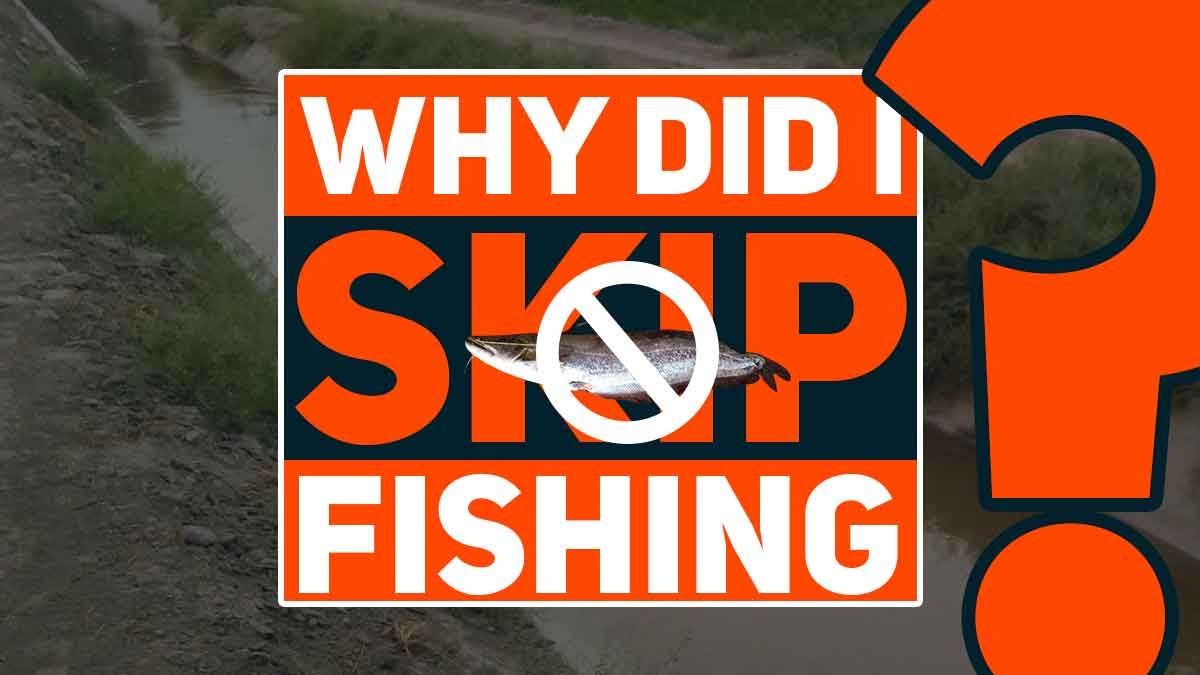 Why did I Skip Fishing for 3 Years?