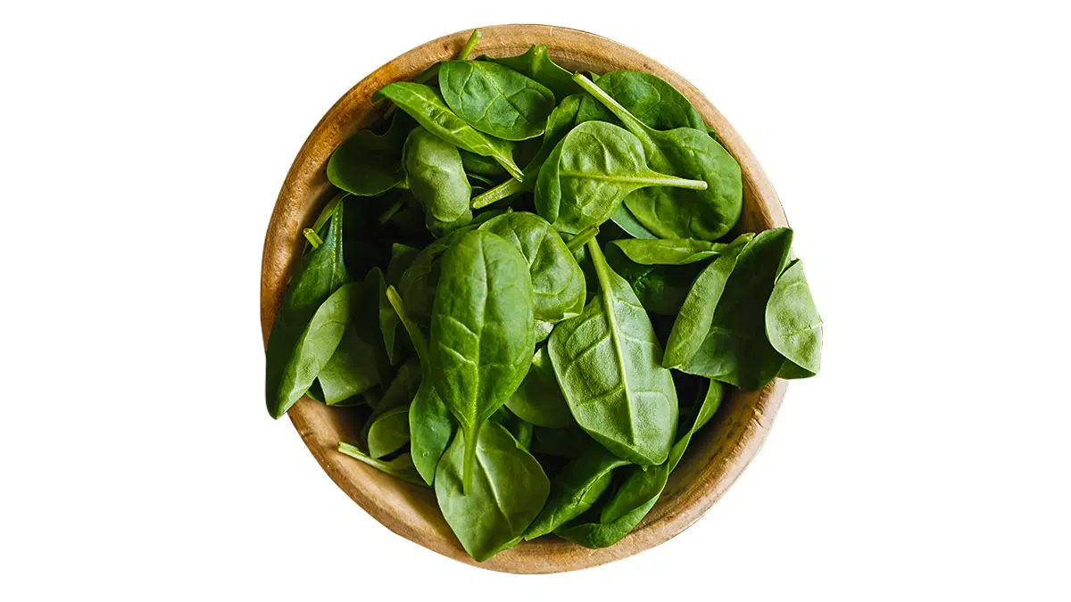Fresh Basil