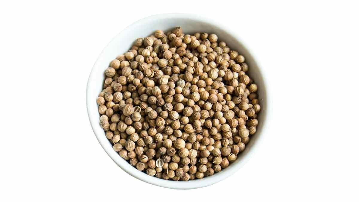 Coriander