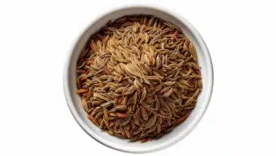 Cumin Zeera Jeera