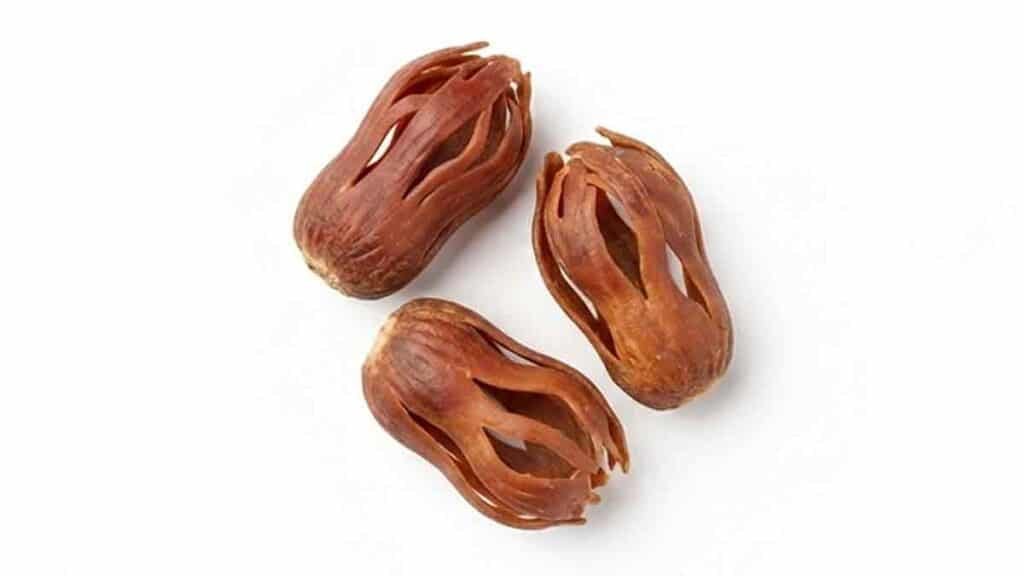 3 Whole Mace Blades isolated on a white background Mace