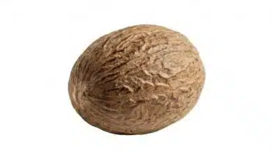 Nutmeg