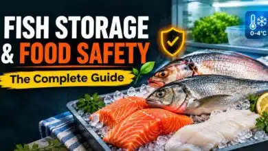 Fish Storage and Food Safety The Complete Guide