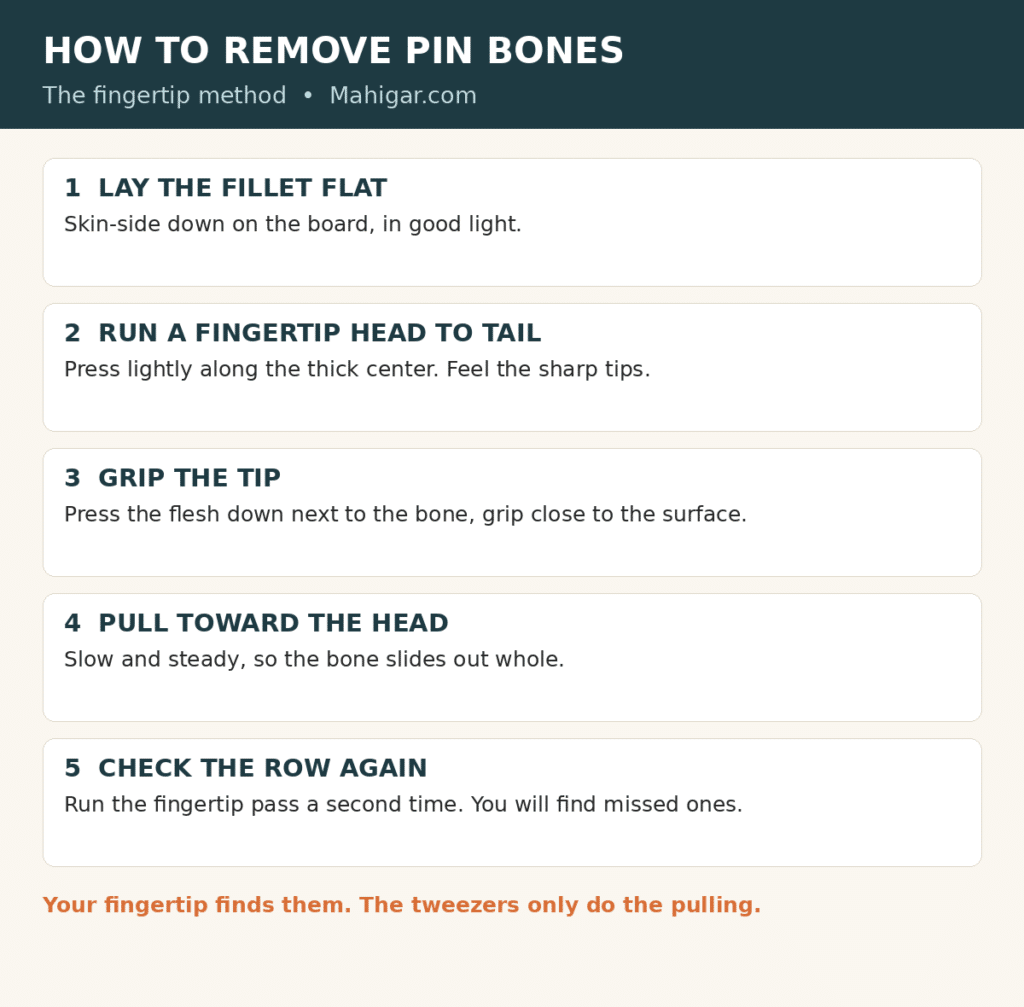 Pin bone removal steps: lay the fillet flat, run a fingertip from head to tail to feel the bone tips, pull each bone toward the head with tweezers, then check the row again.
