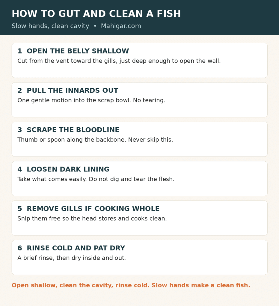 Gutting steps: open the belly with a shallow cut from vent to gills, pull out the innards, scrape the bloodline along the backbone, loosen loose dark lining, remove the gills if cooking whole, then rinse cold and pat dry.