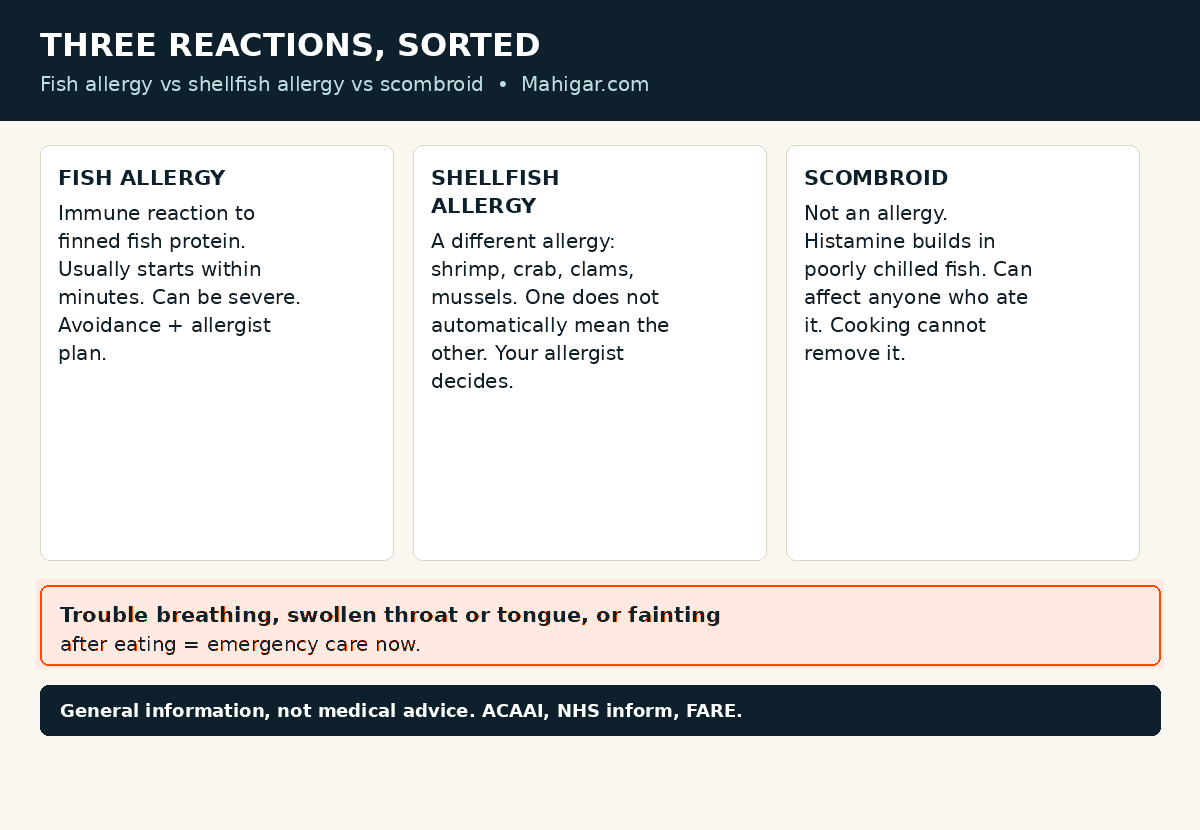 Three seafood reactions compared: fish allergy is an immune reaction to finned fish protein that usually starts within minutes; shellfish allergy is a separate allergy to shrimp, crab, clams and mussels, and one does not automatically mean the other; scombroid histamine poisoning comes from poorly chilled fish, is not an allergy, and cooking cannot remove it. Trouble breathing, a swollen throat or tongue, or fainting after eating means emergency care now.