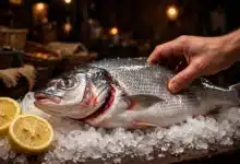 Fresh whole fish on crushed ice being checked for firmness, with a clear eye and red gills, lemon beside it.
