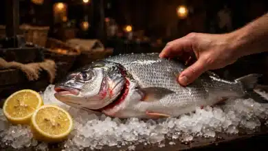 Fresh whole fish on crushed ice being checked for firmness, with a clear eye and red gills, lemon beside it.