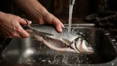Hands cleaning a whole fish at a kitchen sink with scissors, the cleaned belly under cold running water.
